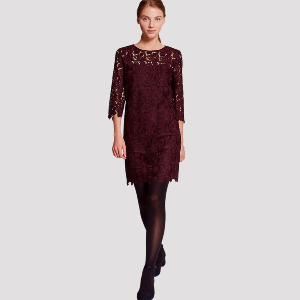 Loft 3/4 sleeve Plum lined lace dress 6 EUC